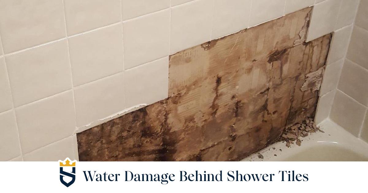 After: clean, modern walk-in shower